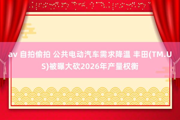 av 自拍偷拍 公共电动汽车需求降温 丰田(TM.US)被曝大砍2026年产量权衡