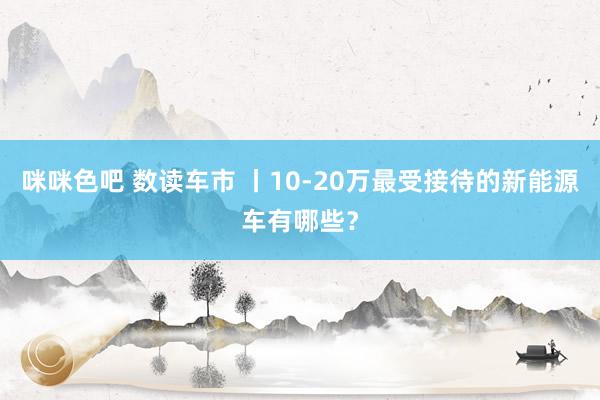 咪咪色吧 数读车市 丨10-20万最受接待的新能源车有哪些？