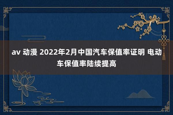 av 动漫 2022年2月中国汽车保值率证明 电动车保值率陆续提高