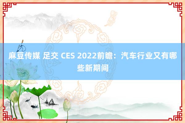 麻豆传媒 足交 CES 2022前瞻：汽车行业又有哪些新期间