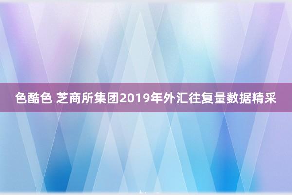 色酷色 芝商所集团2019年外汇往复量数据精采