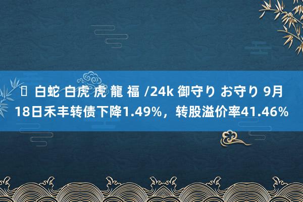 ✨白蛇 白虎 虎 龍 福 /24k 御守り お守り 9月18日禾丰转债下降1.49%，转股溢价率41.46%