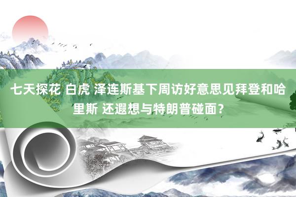 七天探花 白虎 泽连斯基下周访好意思见拜登和哈里斯 还遐想与特朗普碰面？