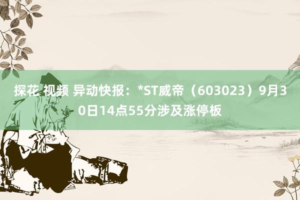 探花 视频 异动快报：*ST威帝（603023）9月30日14点55分涉及涨停板