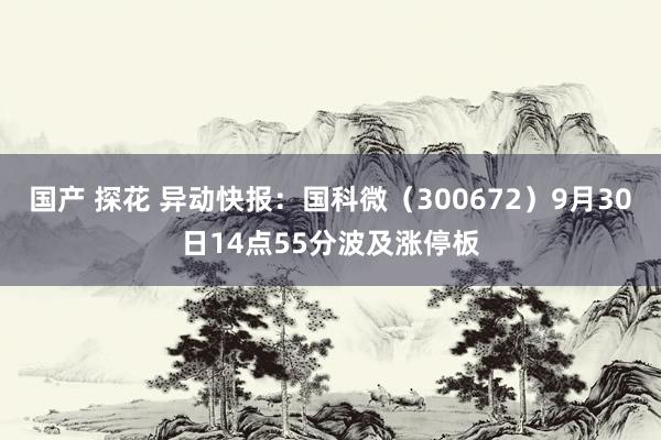 国产 探花 异动快报：国科微（300672）9月30日14点55分波及涨停板