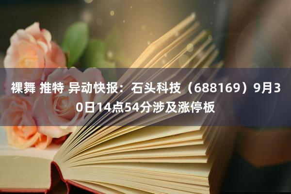 裸舞 推特 异动快报：石头科技（688169）9月30日14点54分涉及涨停板