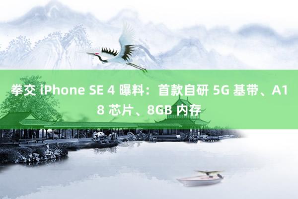 拳交 iPhone SE 4 曝料：首款自研 5G 基带、A18 芯片、8GB 内存