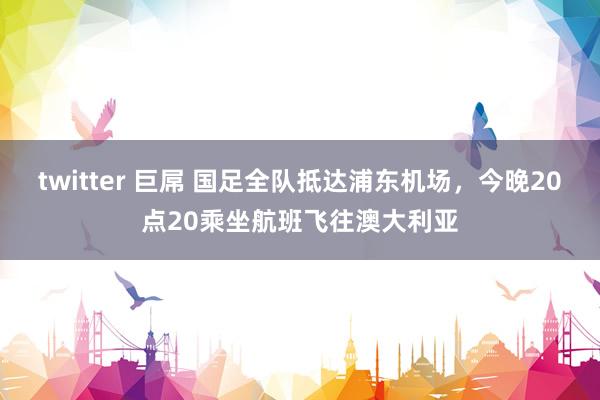 twitter 巨屌 国足全队抵达浦东机场，今晚20点20乘坐航班飞往澳大利亚