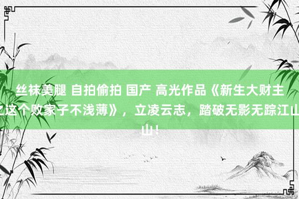 丝袜美腿 自拍偷拍 国产 高光作品《新生大财主之这个败家子不浅薄》，立凌云志，踏破无影无踪江山！