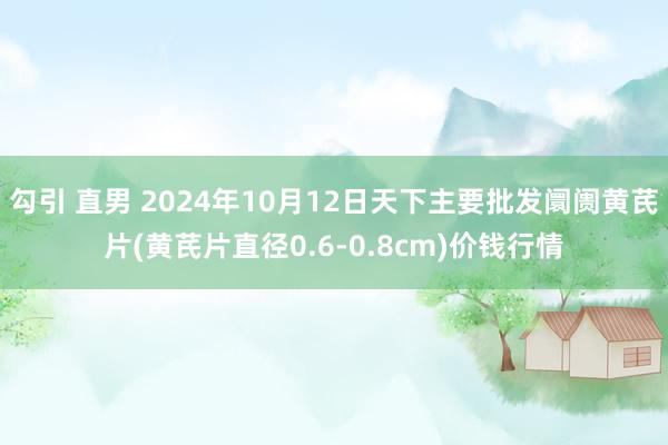 勾引 直男 2024年10月12日天下主要批发阛阓黄芪片(黄芪片直径0.6-0.8cm)价钱行情