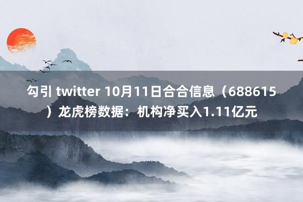 勾引 twitter 10月11日合合信息（688615）龙虎榜数据：机构净买入1.11亿元