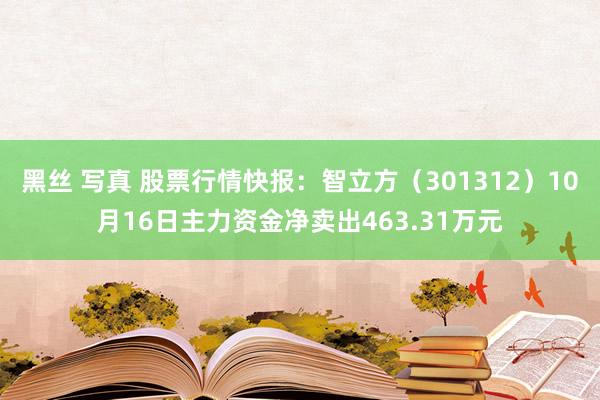 黑丝 写真 股票行情快报：智立方（301312）10月16日主力资金净卖出463.31万元