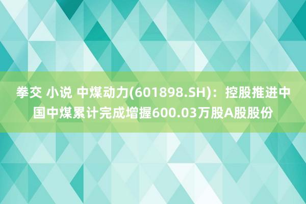 拳交 小说 中煤动力(601898.SH)：控股推进中国中煤累计完成增握600.03万股A股股份