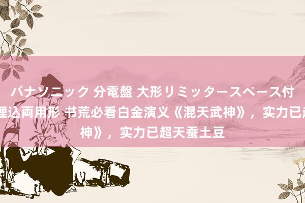 パナソニック 分電盤 大形リミッタースペース付 露出・半埋込両用形 书荒必看白金演义《混天武神》，实力已超天蚕土豆