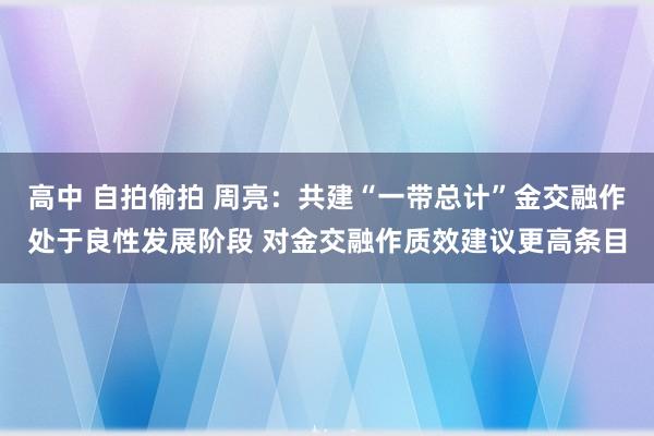 高中 自拍偷拍 周亮：共建“一带总计”金交融作处于良性发展阶段 对金交融作质效建议更高条目