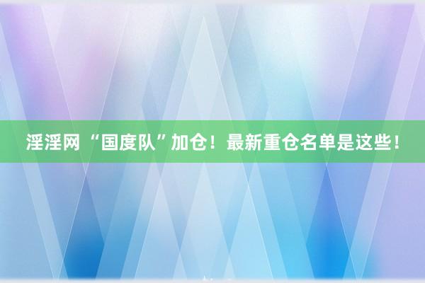 淫淫网 “国度队”加仓！最新重仓名单是这些！