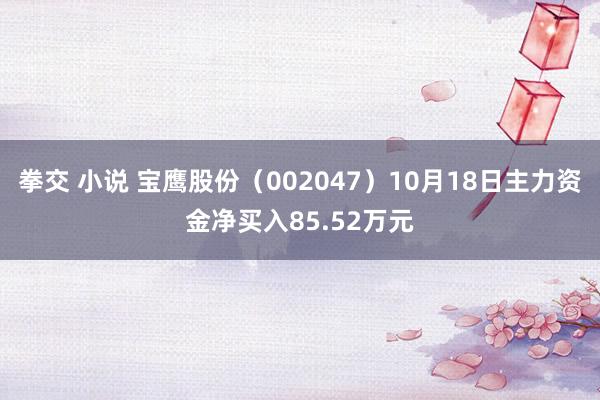 拳交 小说 宝鹰股份（002047）10月18日主力资金净买入85.52万元