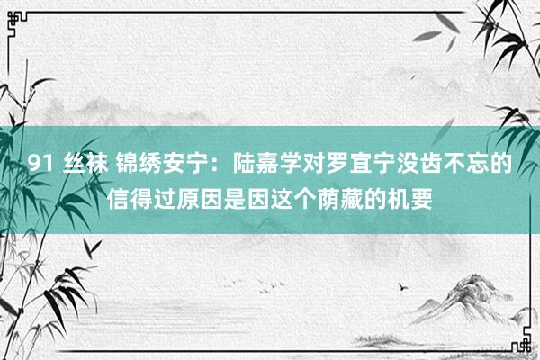 91 丝袜 锦绣安宁：陆嘉学对罗宜宁没齿不忘的信得过原因是因这个荫藏的机要