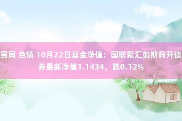 男同 色情 10月22日基金净值：国联聚汇如期洞开债券最新净值1.1434，跌0.12%