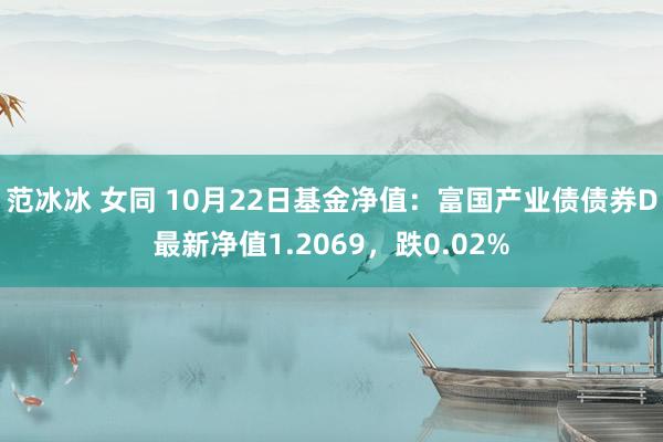 范冰冰 女同 10月22日基金净值：富国产业债债券D最新净值1.2069，跌0.02%