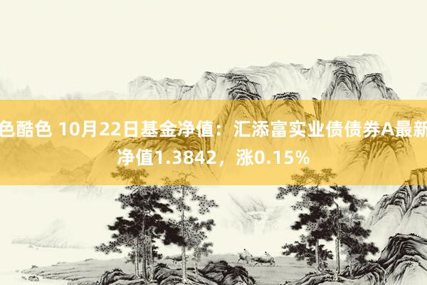 色酷色 10月22日基金净值：汇添富实业债债券A最新净值1.3842，涨0.15%