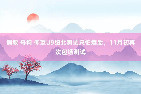 调教 母狗 仰望U9纽北测试只怕爆胎，11月初再次包场测试