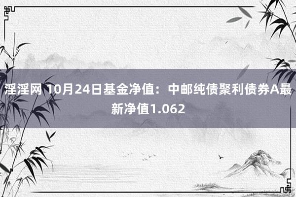 淫淫网 10月24日基金净值：中邮纯债聚利债券A最新净值1.062