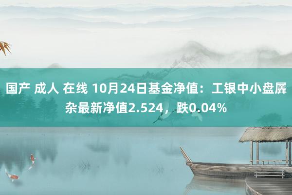 国产 成人 在线 10月24日基金净值：工银中小盘羼杂最新净值2.524，跌0.04%