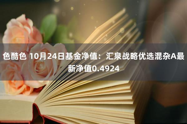 色酷色 10月24日基金净值：汇泉战略优选混杂A最新净值0.4924