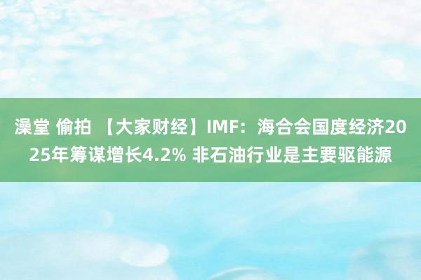 澡堂 偷拍 【大家财经】IMF：海合会国度经济2025年筹谋增长4.2% 非石油行业是主要驱能源