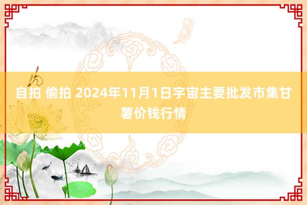 自拍 偷拍 2024年11月1日宇宙主要批发市集甘薯价钱行情