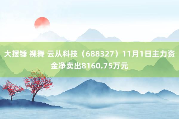 大摆锤 裸舞 云从科技（688327）11月1日主力资金净卖出8160.75万元