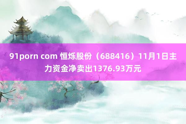 91porn com 恒烁股份（688416）11月1日主力资金净卖出1376.93万元