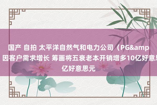 国产 自拍 太平洋自然气和电力公司（PG&E）因客户需求增长 筹画将五衰老本开销增多10亿好意思元