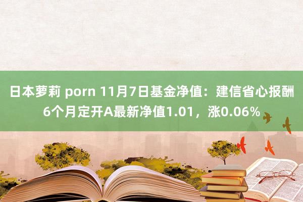 日本萝莉 porn 11月7日基金净值：建信省心报酬6个月定开A最新净值1.01，涨0.06%