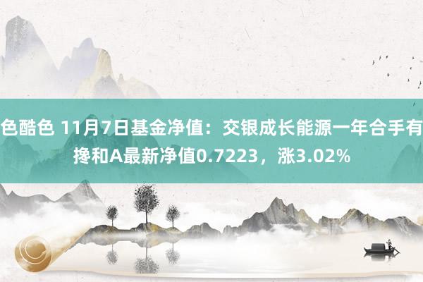 色酷色 11月7日基金净值：交银成长能源一年合手有搀和A最新净值0.7223，涨3.02%