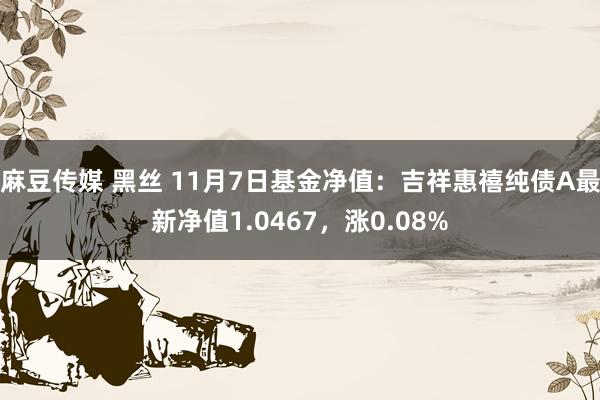 麻豆传媒 黑丝 11月7日基金净值：吉祥惠禧纯债A最新净值1.0467，涨0.08%