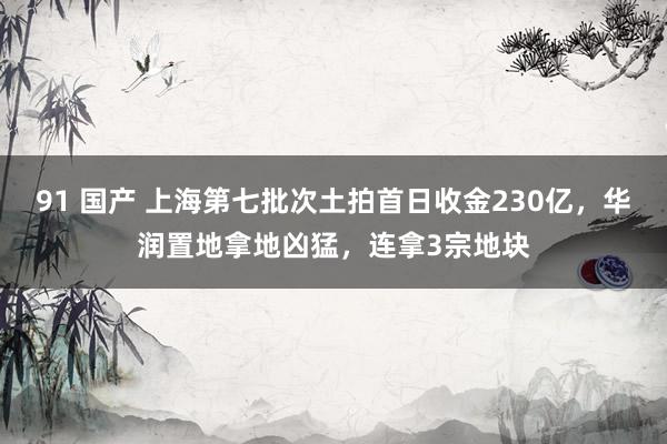 91 国产 上海第七批次土拍首日收金230亿，华润置地拿地凶猛，连拿3宗地块