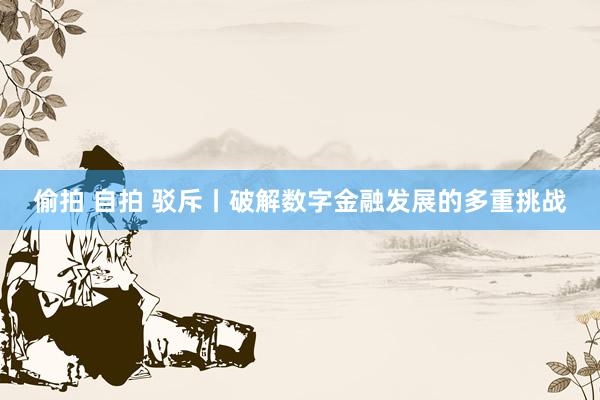 偷拍 自拍 驳斥丨破解数字金融发展的多重挑战