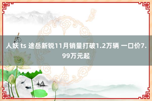 人妖 ts 途岳新锐11月销量打破1.2万辆 一口价7.99万元起