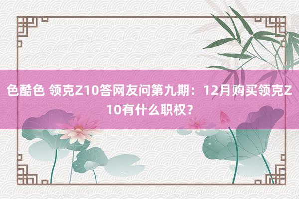 色酷色 领克Z10答网友问第九期：12月购买领克Z10有什么职权？