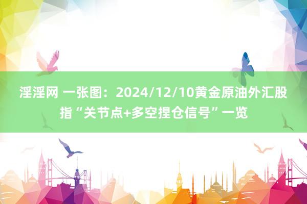 淫淫网 一张图：2024/12/10黄金原油外汇股指“关节点+多空捏仓信号”一览