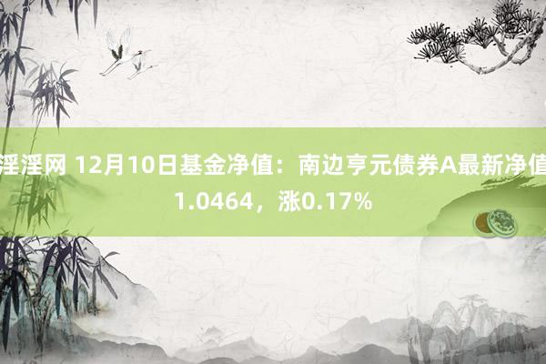 淫淫网 12月10日基金净值：南边亨元债券A最新净值1.0464，涨0.17%