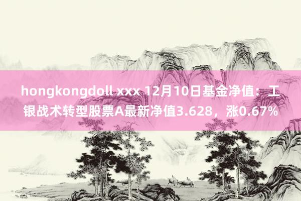 hongkongdoll xxx 12月10日基金净值：工银战术转型股票A最新净值3.628，涨0.67%