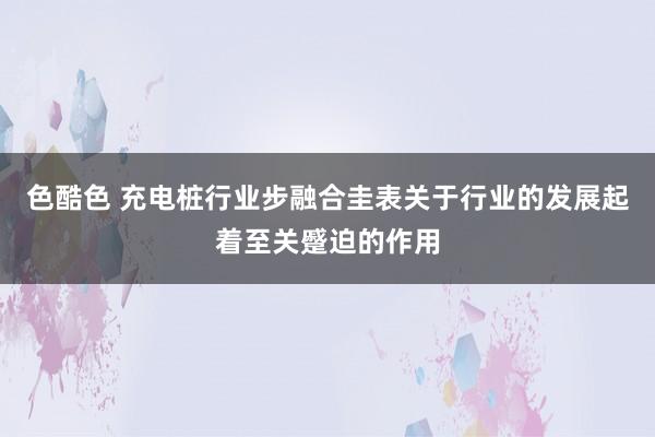 色酷色 充电桩行业步融合圭表关于行业的发展起着至关蹙迫的作用