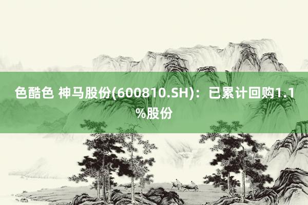 色酷色 神马股份(600810.SH)：已累计回购1.1%股份