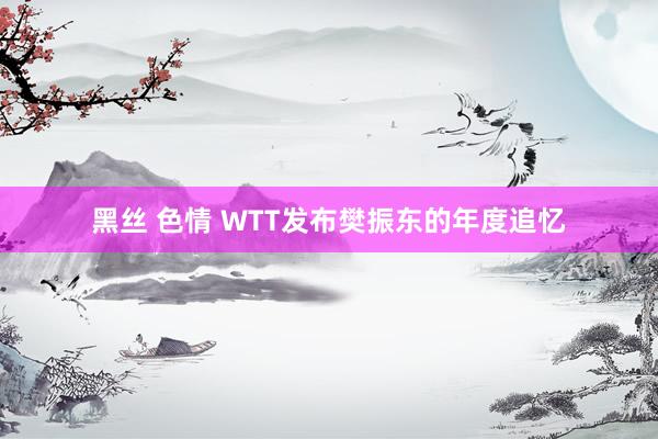 黑丝 色情 WTT发布樊振东的年度追忆