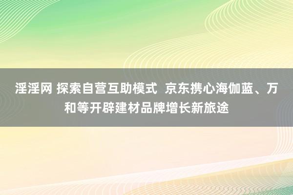 淫淫网 探索自营互助模式  京东携心海伽蓝、万和等开辟建材品牌增长新旅途