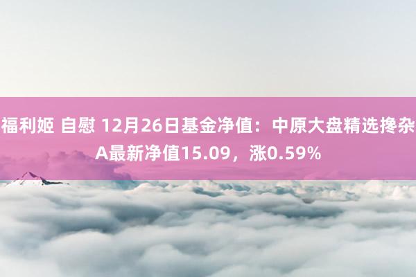 福利姬 自慰 12月26日基金净值：中原大盘精选搀杂A最新净值15.09，涨0.59%