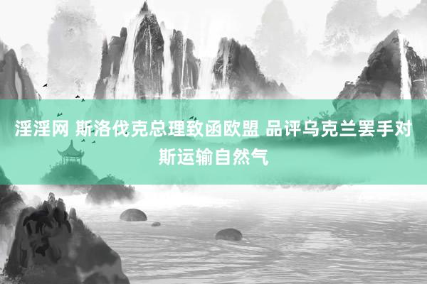 淫淫网 斯洛伐克总理致函欧盟 品评乌克兰罢手对斯运输自然气